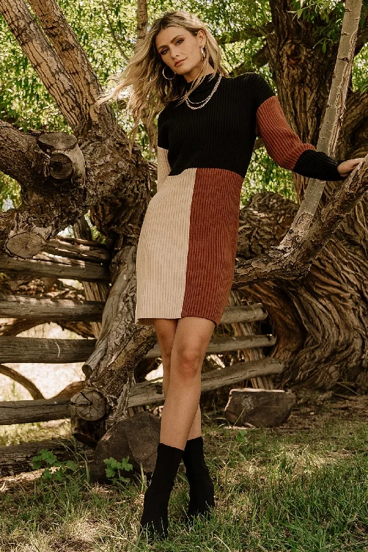 Earthy Tones Easton Sweater Dress | Black Multi